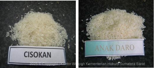 WhatsApp Image 2025 10 08 at 10.19.15